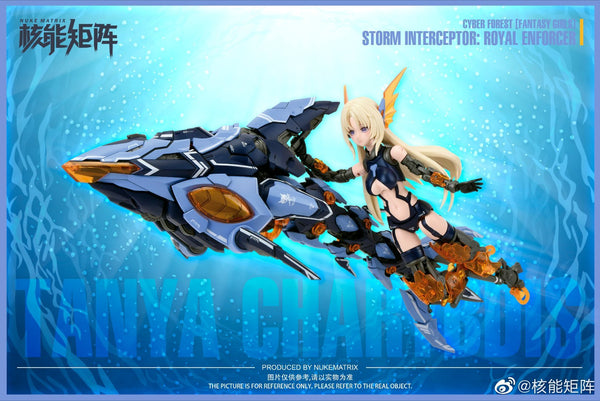 CF04 - Storm Intereptor : Royal Enforcer